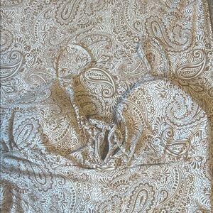 No Boundaries Paisley Print Midi Dress - Cream and Brown - M (8-10)